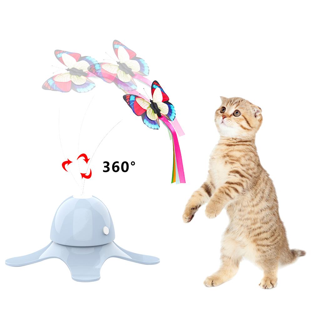 49503b8b17f4b75bf69d9c0c3baa5ab7